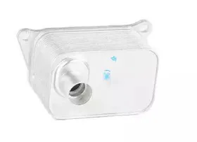 масляный радиатор, двигательное масло BSG купить